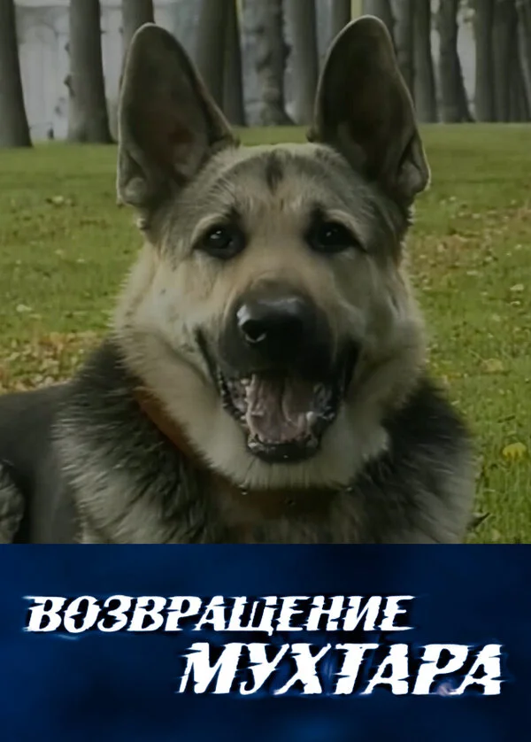 Возвращение Мухтара 2003 смотреть онлайн бесплатно